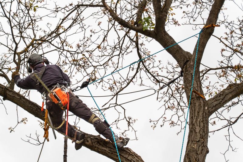 Reduces safety liability risks