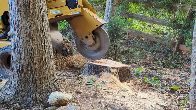 Bush Stump Grinding in Aiken, SC