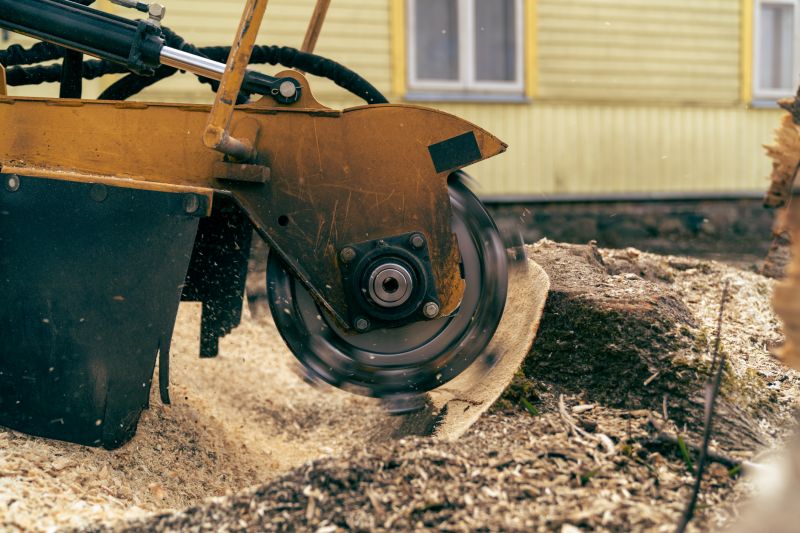 Bush Stump Grinding in Calvert County, MD