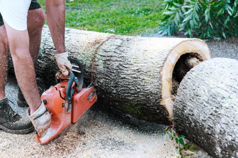 Commercial Tree Removal in Aiken, SC