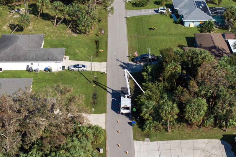 Commercial Trees Trimming