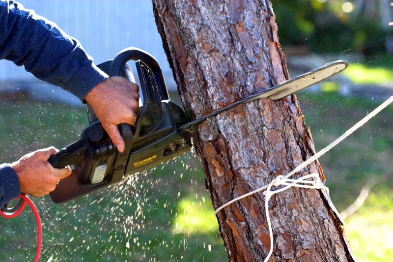 Dead Tree Removal in Bucks County, PA