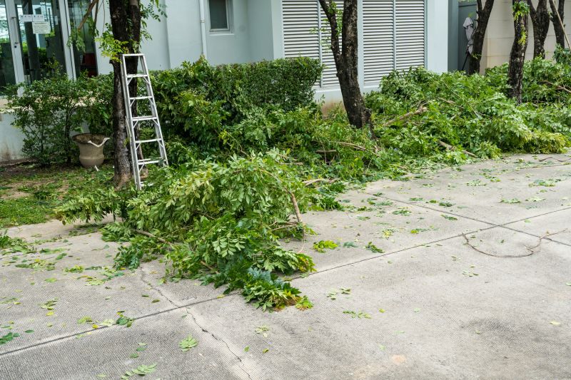 Dead Tree Removal in Pottstown, PA