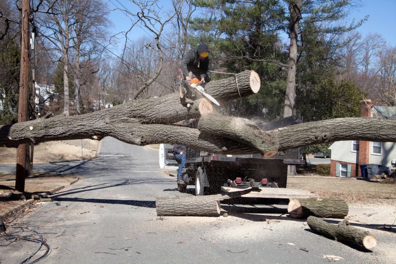 Dead Tree Removal in Montgomery County, PA