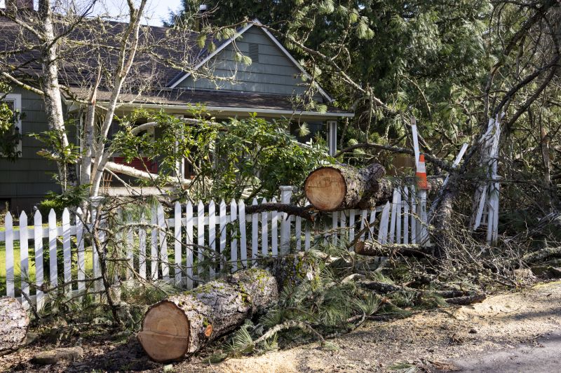 Dead Tree Removal in Doylestown, PA