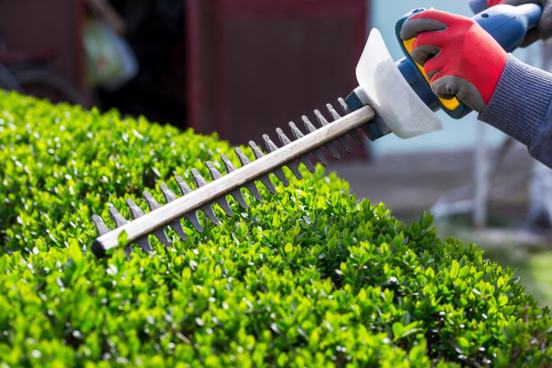 Hedge Shaping Service in Rockwall, TX