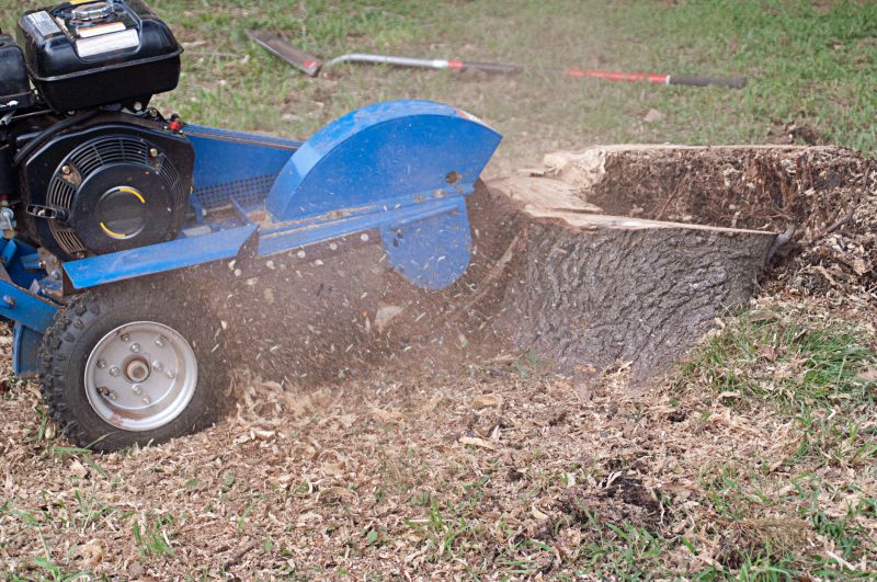 Stump Grinding Service in Calvert County, MD