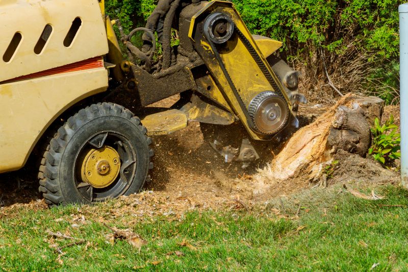 Stump Grinding Service in Aiken, SC