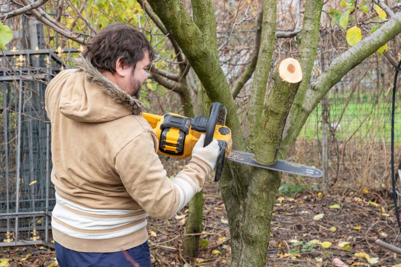 Tree Service in Montgomery County, PA